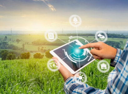 Agriculture and Sustainability