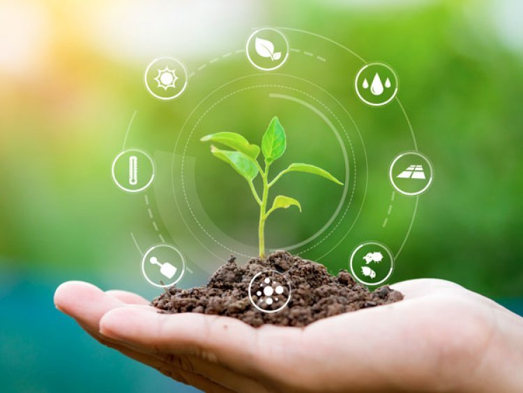 Agriculture and Sustainability